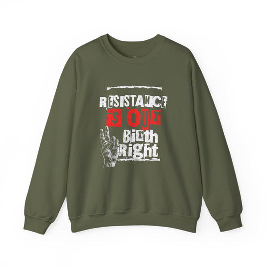 Palestine Birthright Resistance Sweatshirt