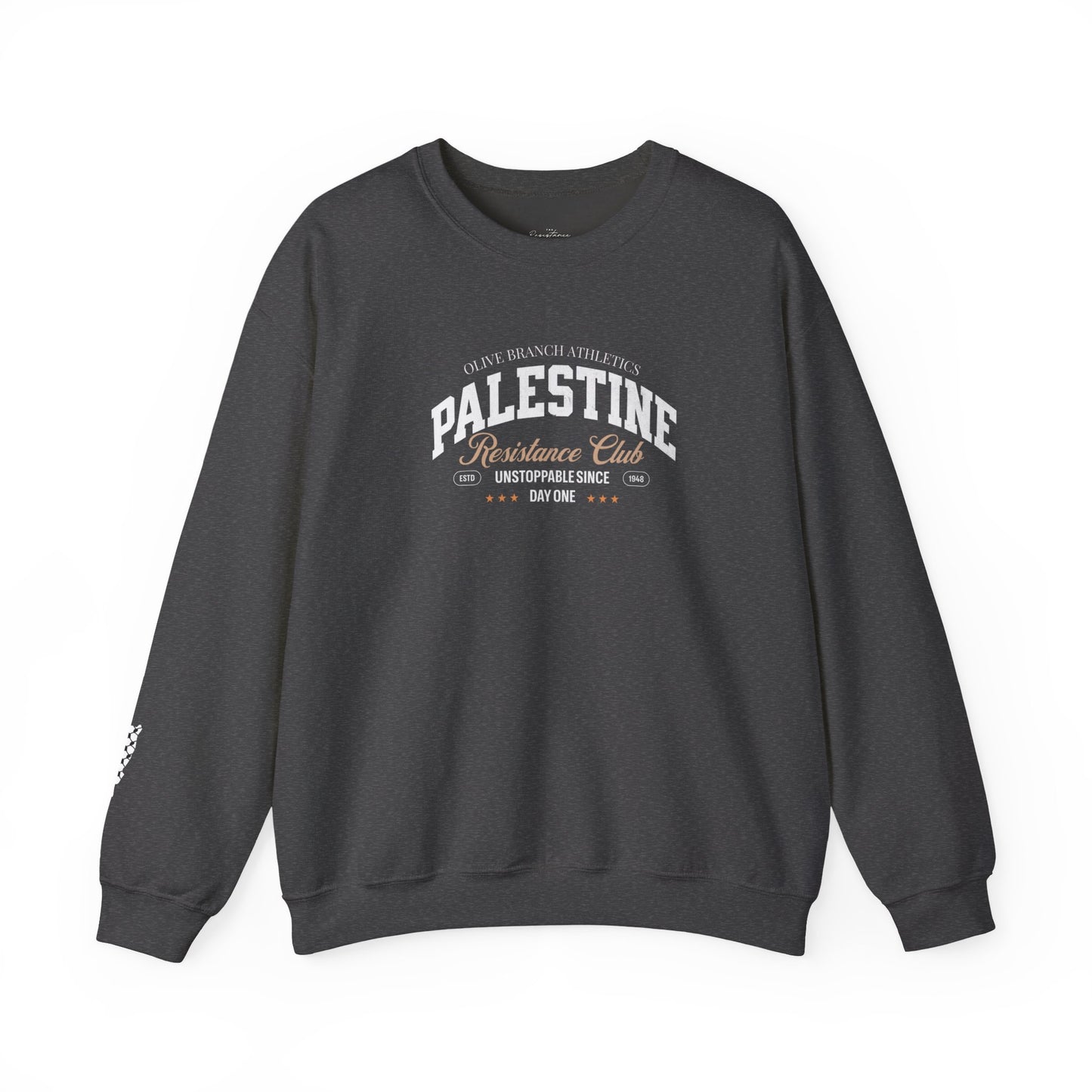 Palestine Resistance Jumper- Shipped from the US
