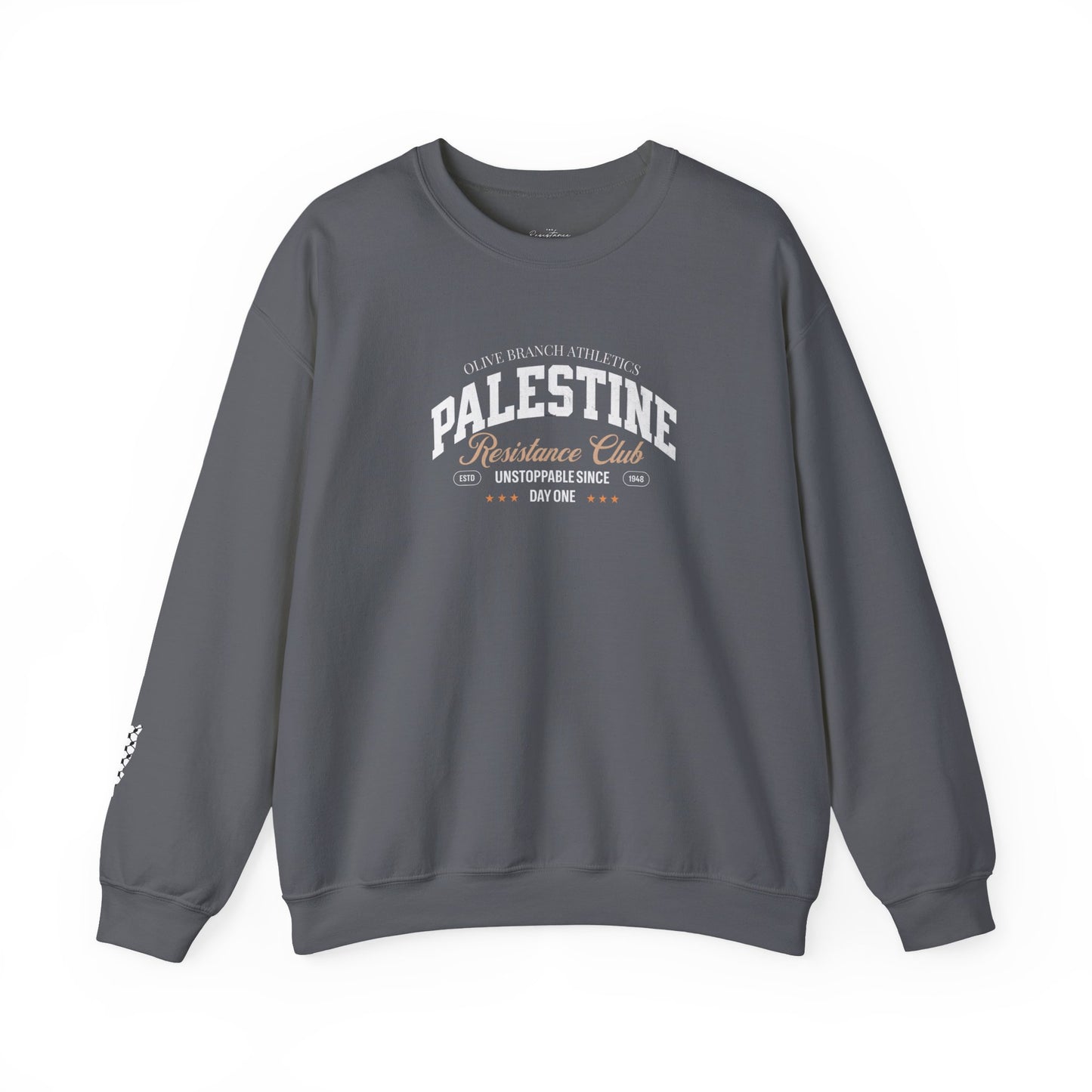 Palestine Resistance Jumper- Shipped from the US